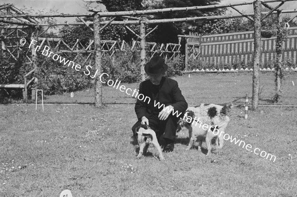 PRIEST AT PAROCHIAL HOUSE WITH DOGS